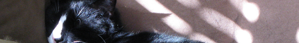 The Kell Blog random header image
